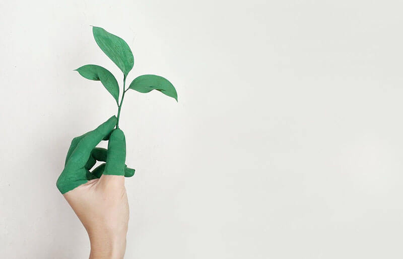 A painted green hand holding a green leaf