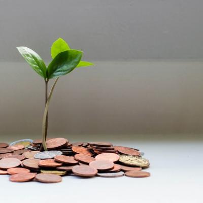 A green plant growing out of coins